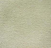 Ковролин Зартекс Sense Highlights (Soft carpet) Sense Highlights 019 Топлёное Молоко фото 1 | FLOORDEALER